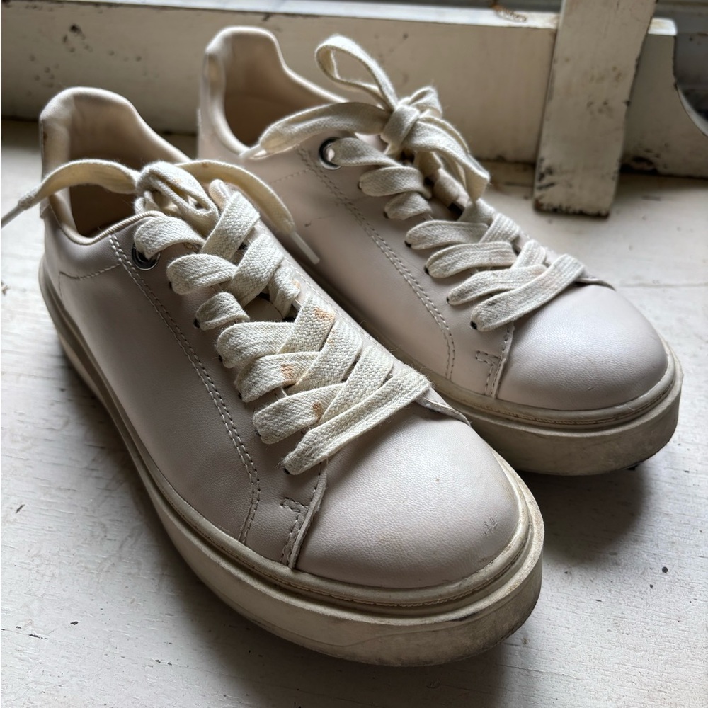 Classic White Sneakers Steve Madden